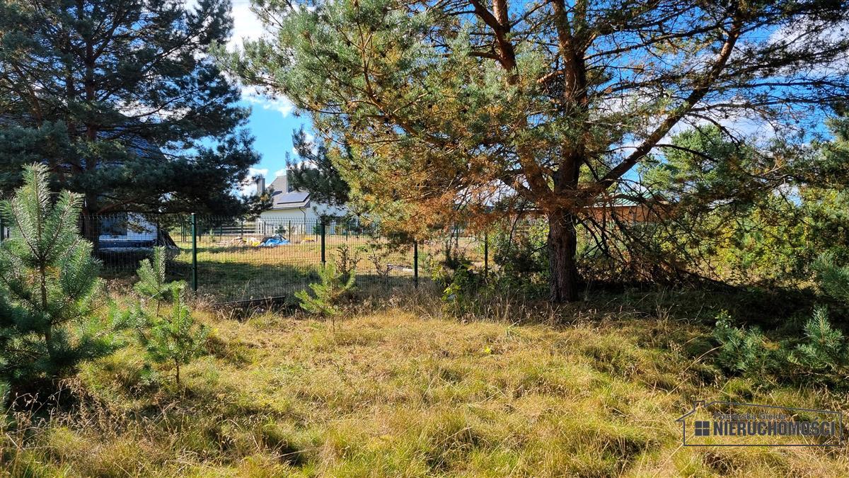 Sprzedaż Działka budowlana Dołgie