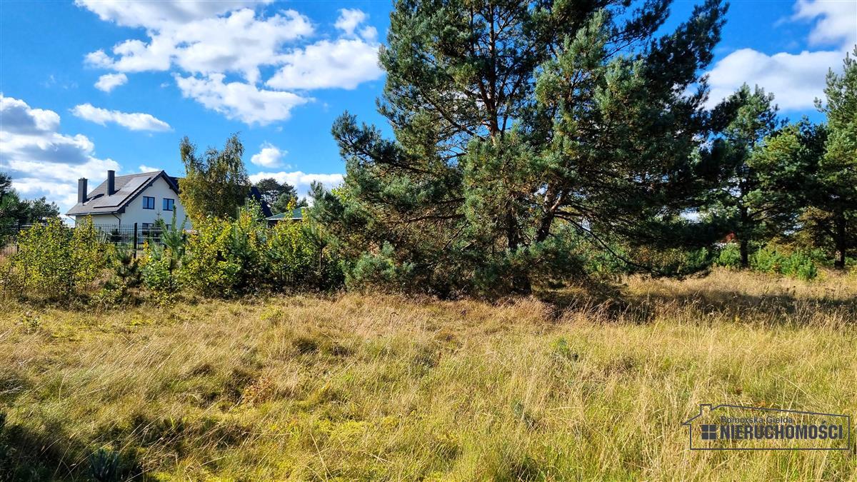 Sprzedaż Działka budowlana Dołgie
