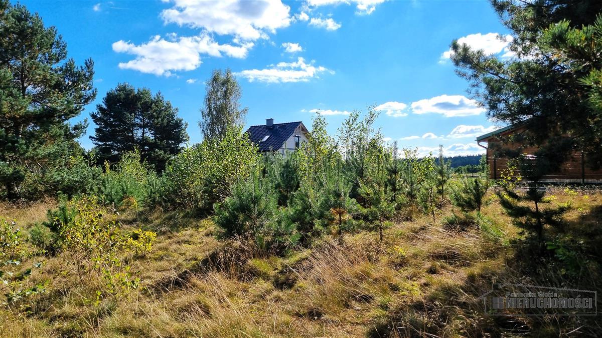 Sprzedaż Działka budowlana Dołgie