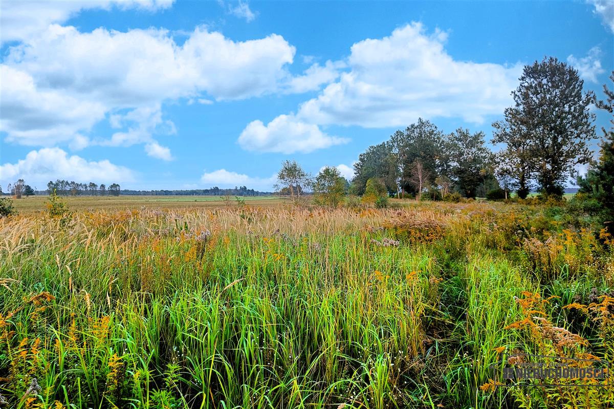 Sprzedaż Działka budowlana Stare Wierzchowo