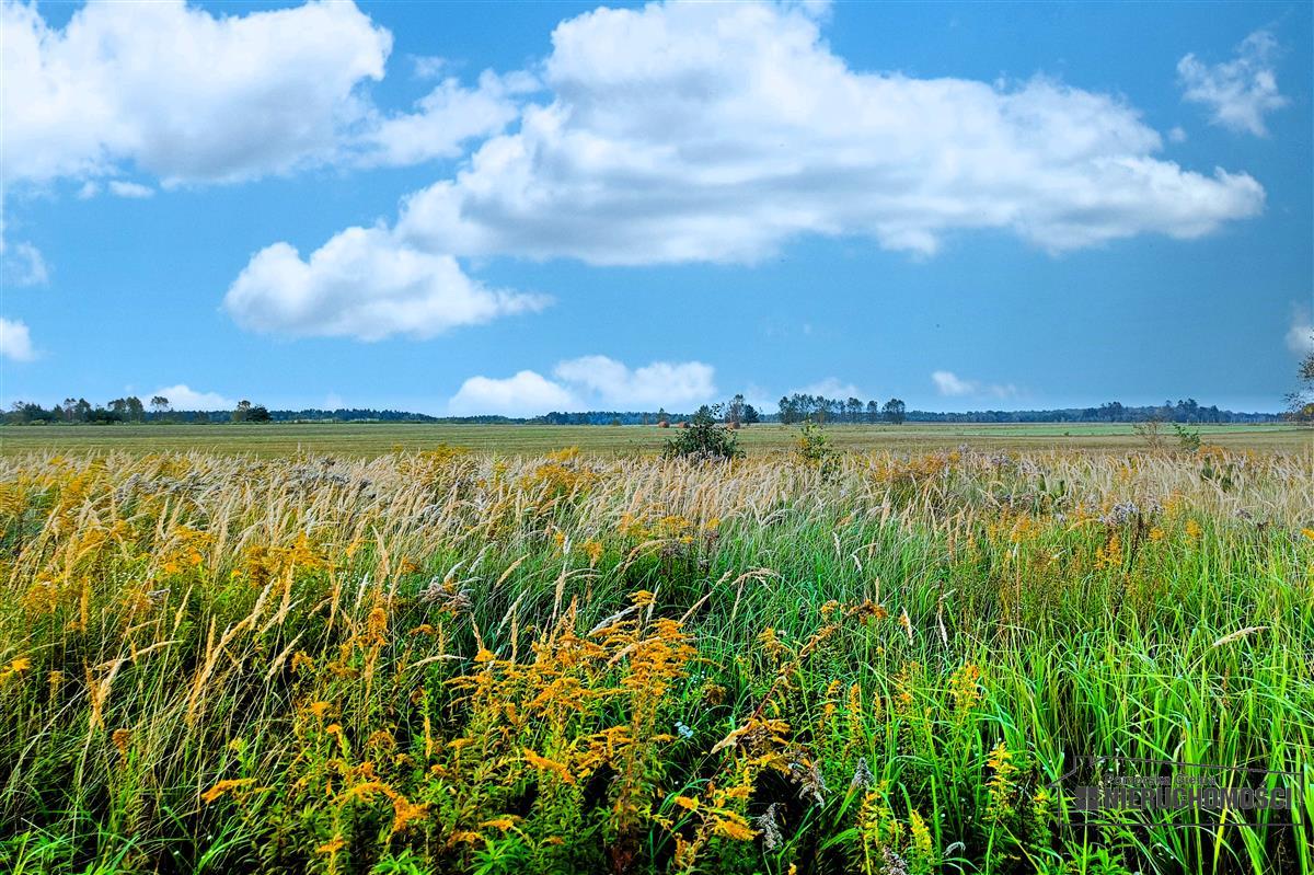 Sprzedaż Działka budowlana Stare Wierzchowo