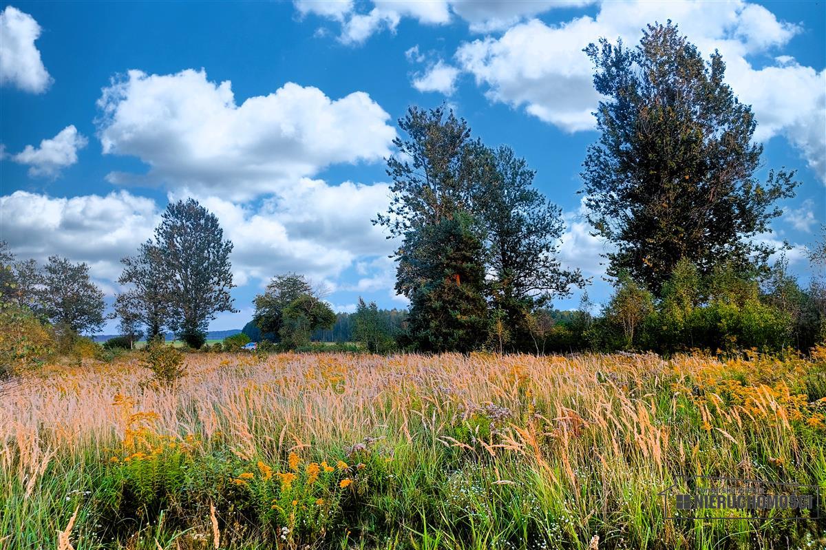 Sprzedaż Działka budowlana Stare Wierzchowo