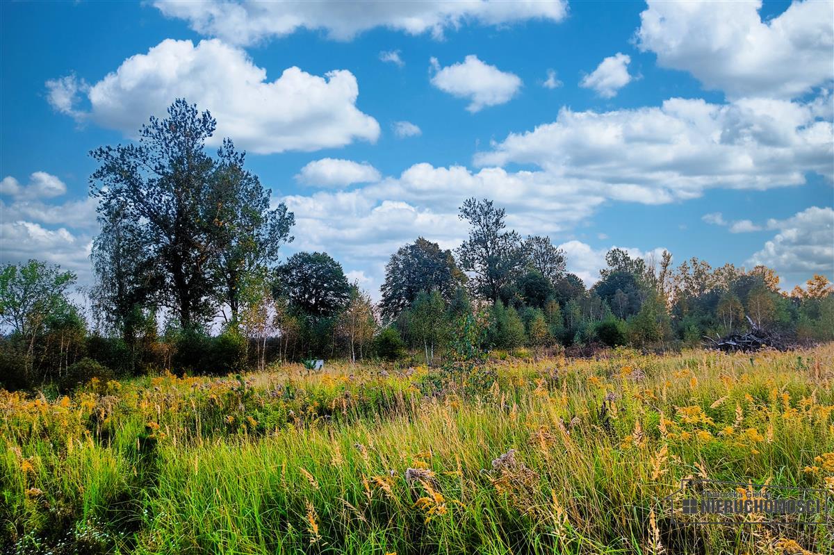 Sprzedaż Działka budowlana Stare Wierzchowo