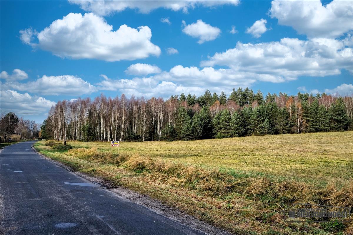 Sprzedaż Działka budowlana Ubiedrze