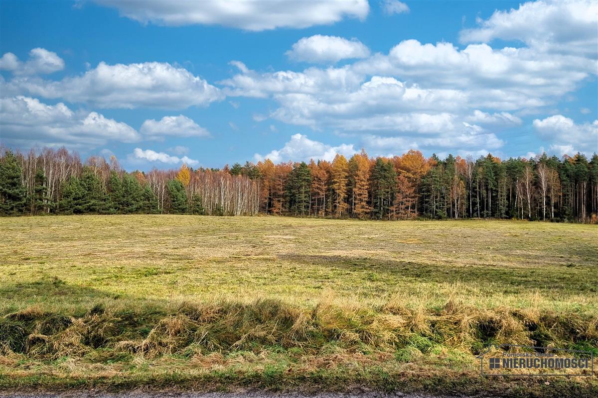 Sprzedaż Działka budowlana Ubiedrze