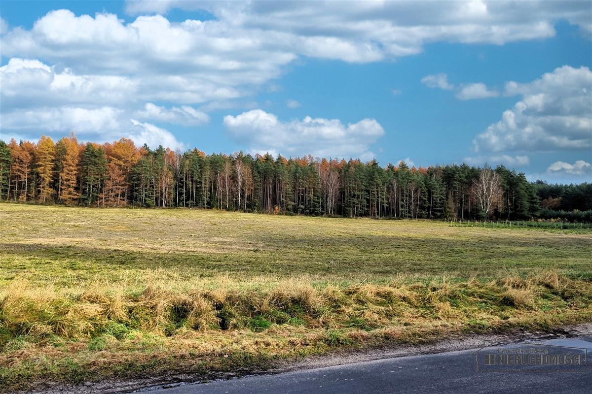 Sprzedaż Działka budowlana Ubiedrze