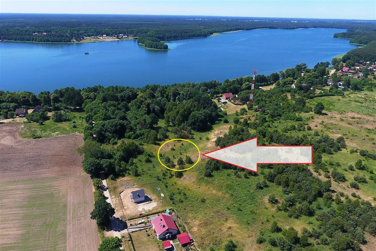 Sprzedaż Działka budowlana Dąbrowica