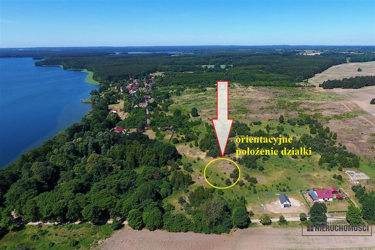 Sprzedaż Działka budowlana Dąbrowica