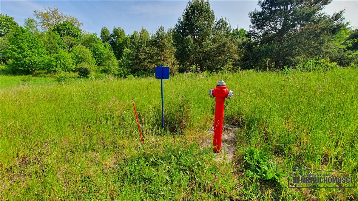 Sprzedaż Działka budowlana Dąbrowica