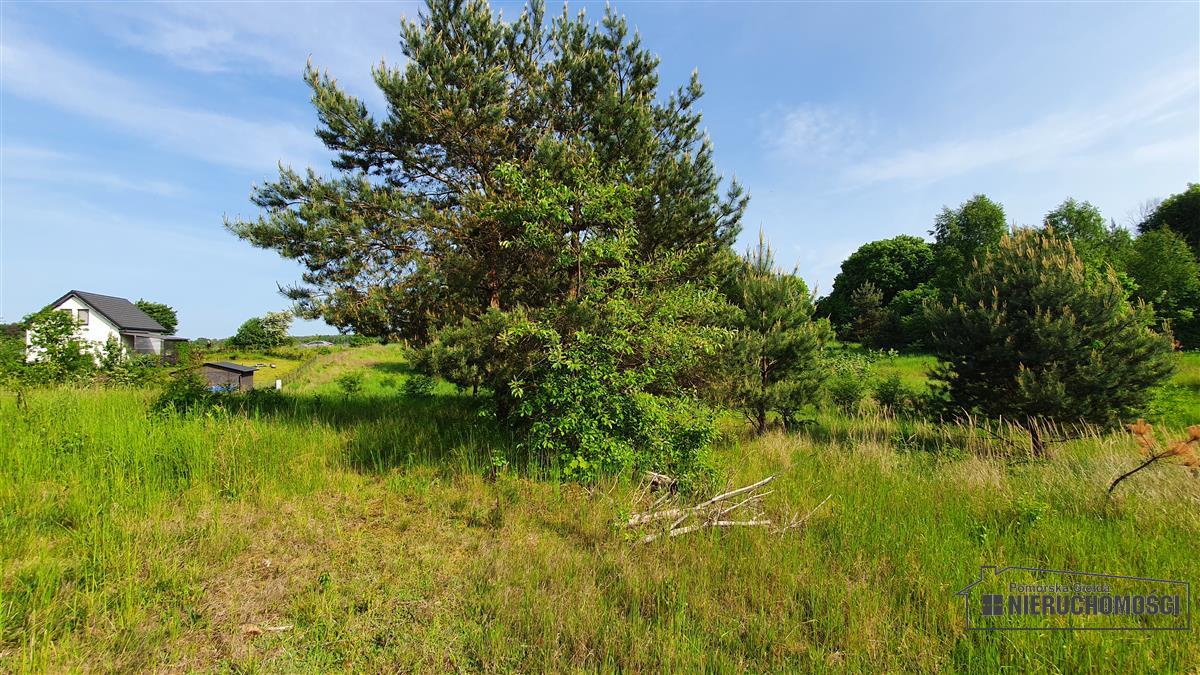 Sprzedaż Działka budowlana Dąbrowica