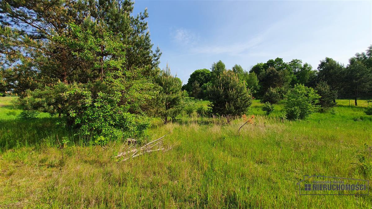 Sprzedaż Działka budowlana Dąbrowica