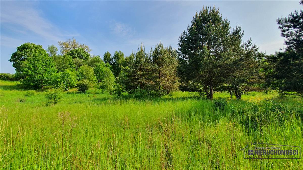 Sprzedaż Działka budowlana Dąbrowica