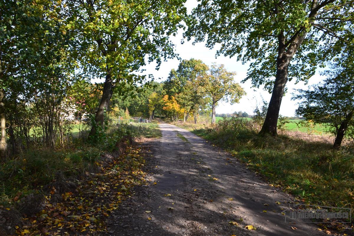 Sprzedaż Działka budowlana Dąbrowica