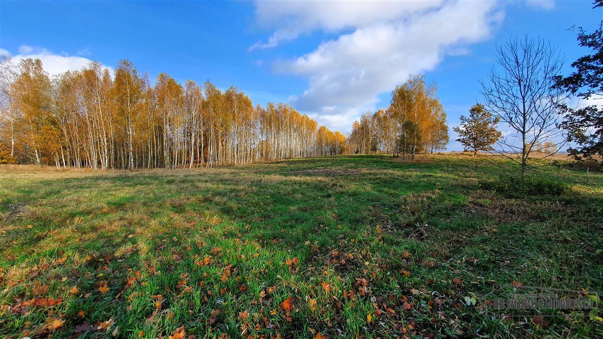 Sprzedaż Działka budowlana Głodowa