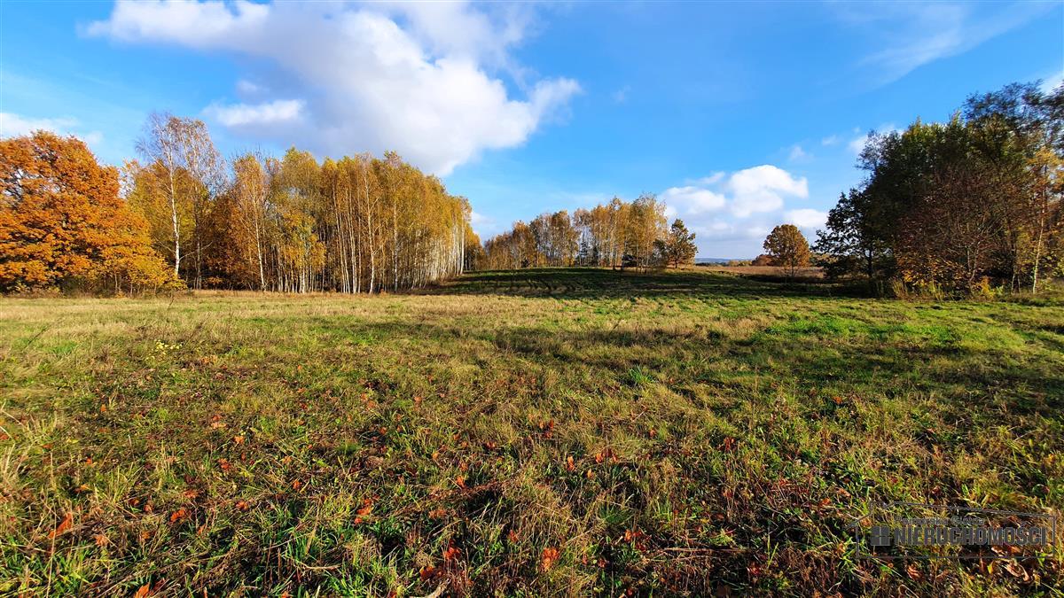 Sprzedaż Działka budowlana Głodowa