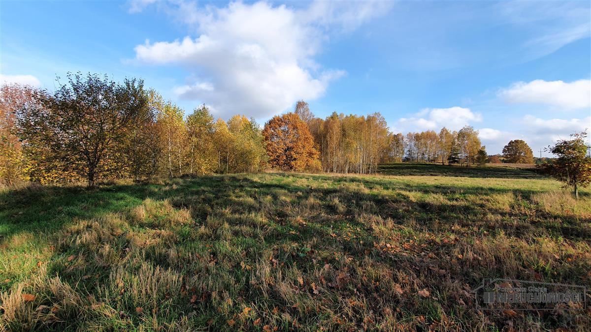 Sprzedaż Działka budowlana Głodowa