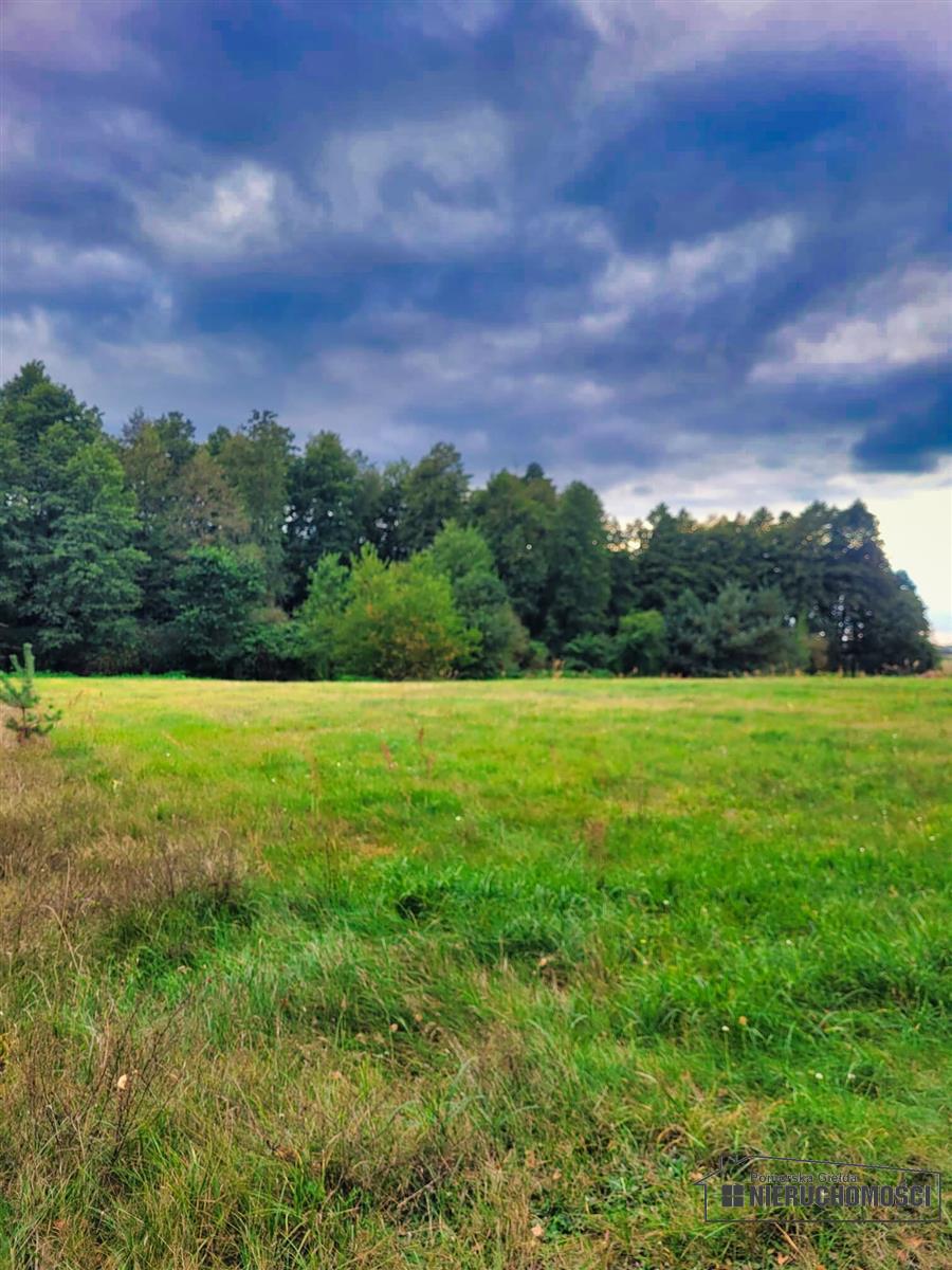 Sprzedaż Działka budowlana Piaseczno