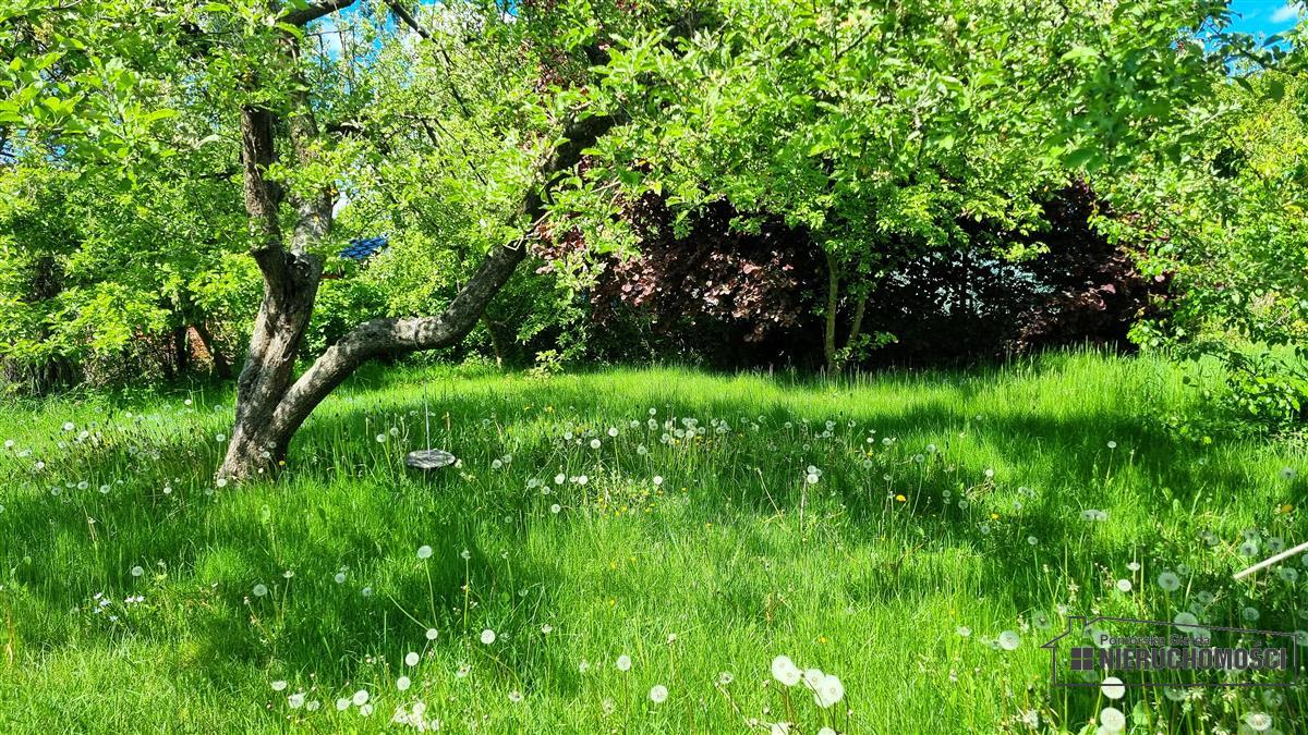 Sprzedaż Dom wolnostojący Szczecinek