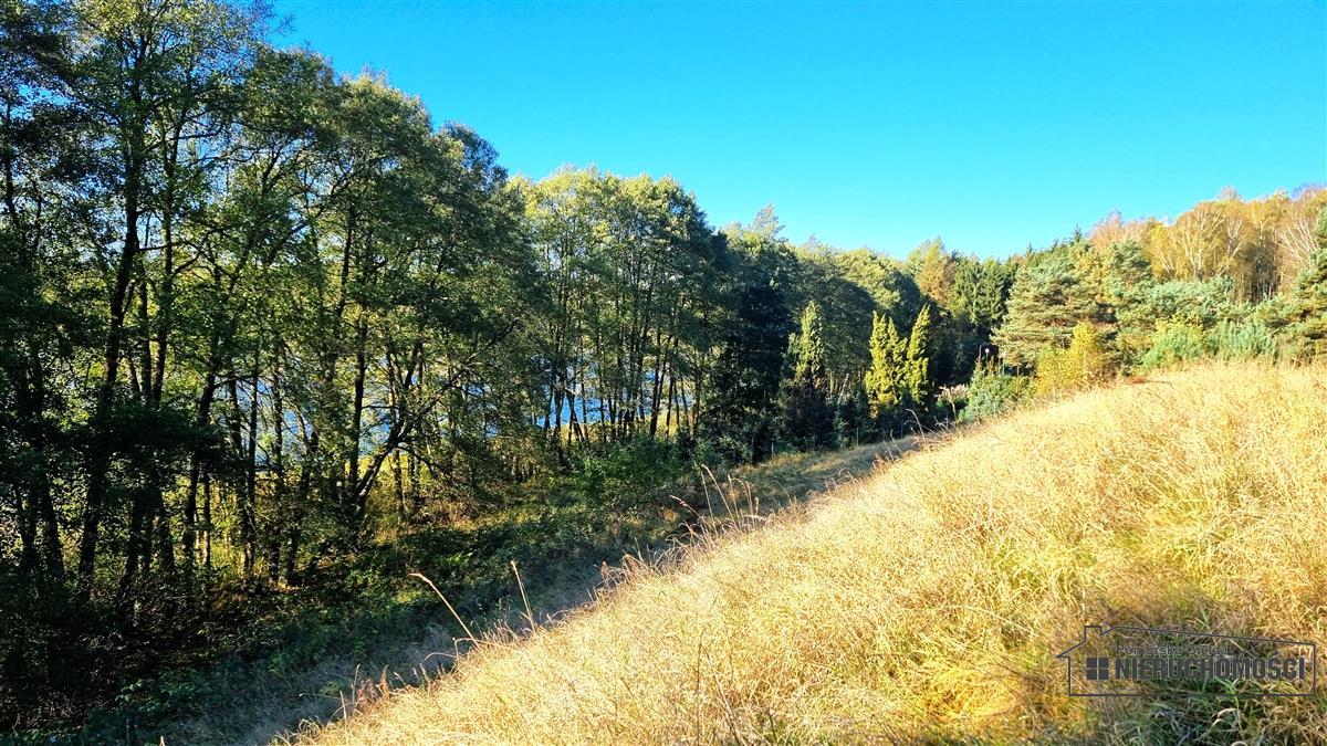 Sprzedaż Działka budowlana Dołgie