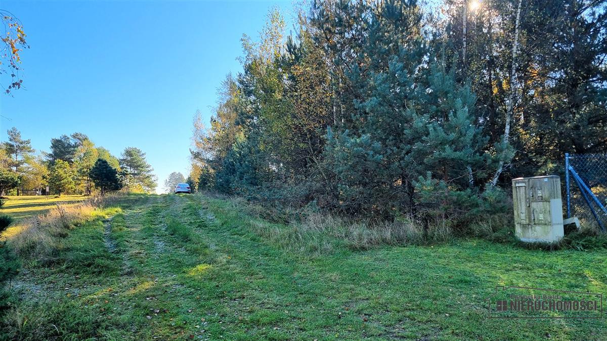 Sprzedaż Działka budowlana Dołgie