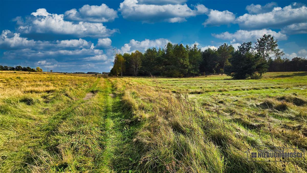 Sprzedaż Działka budowlana Świerczyna