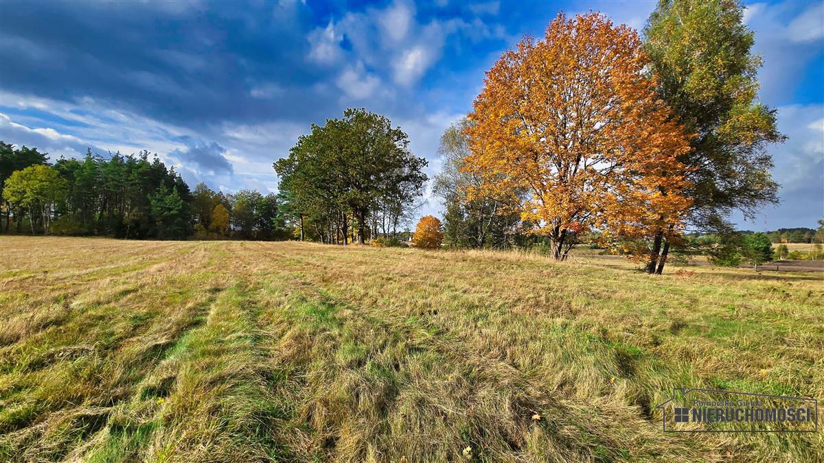 Sprzedaż Działka budowlana Świerczyna