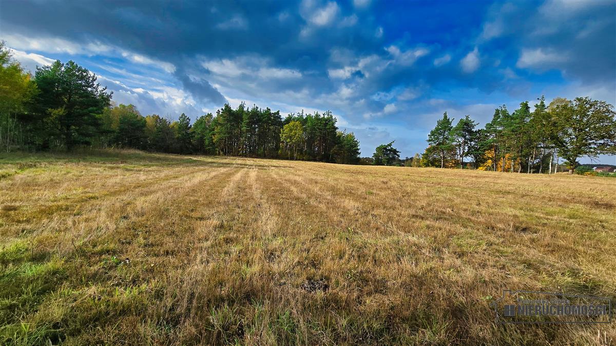 Sprzedaż Działka budowlana Świerczyna
