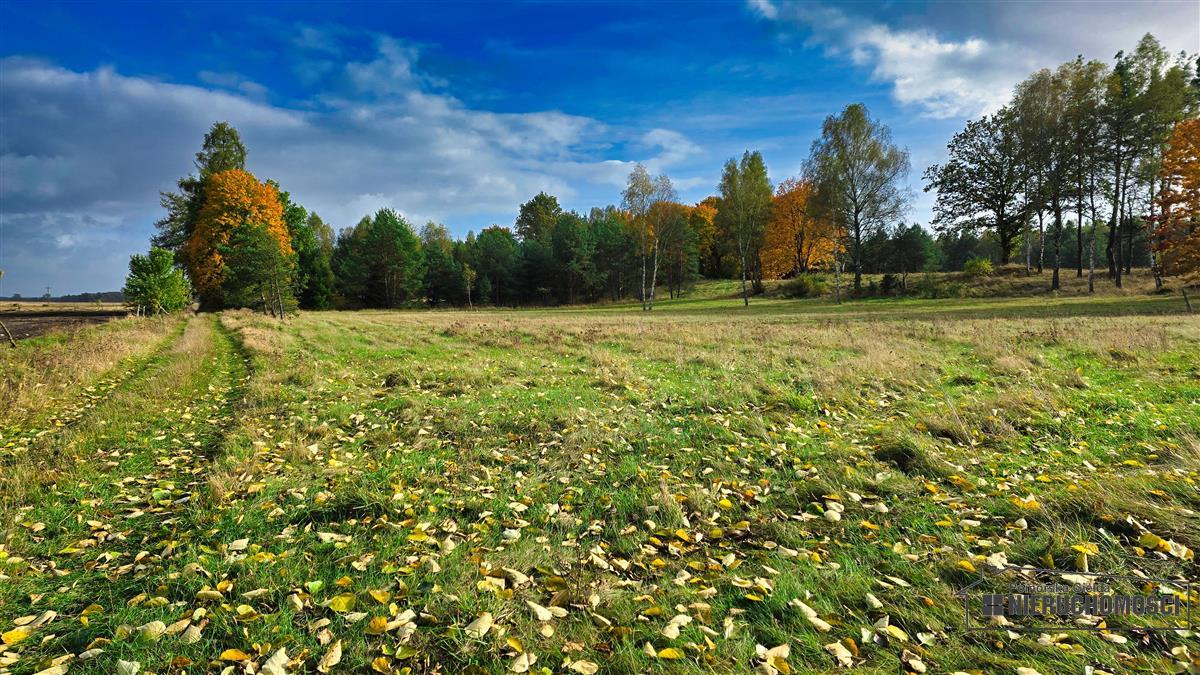 Sprzedaż Działka budowlana Świerczyna