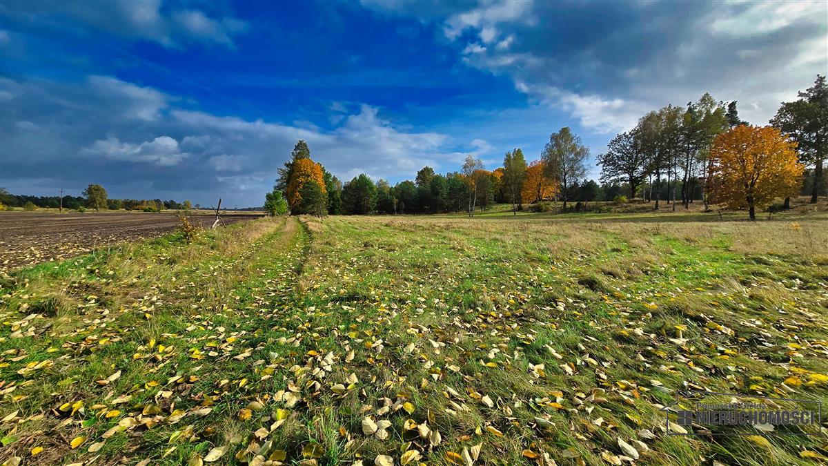 Sprzedaż Działka budowlana Świerczyna
