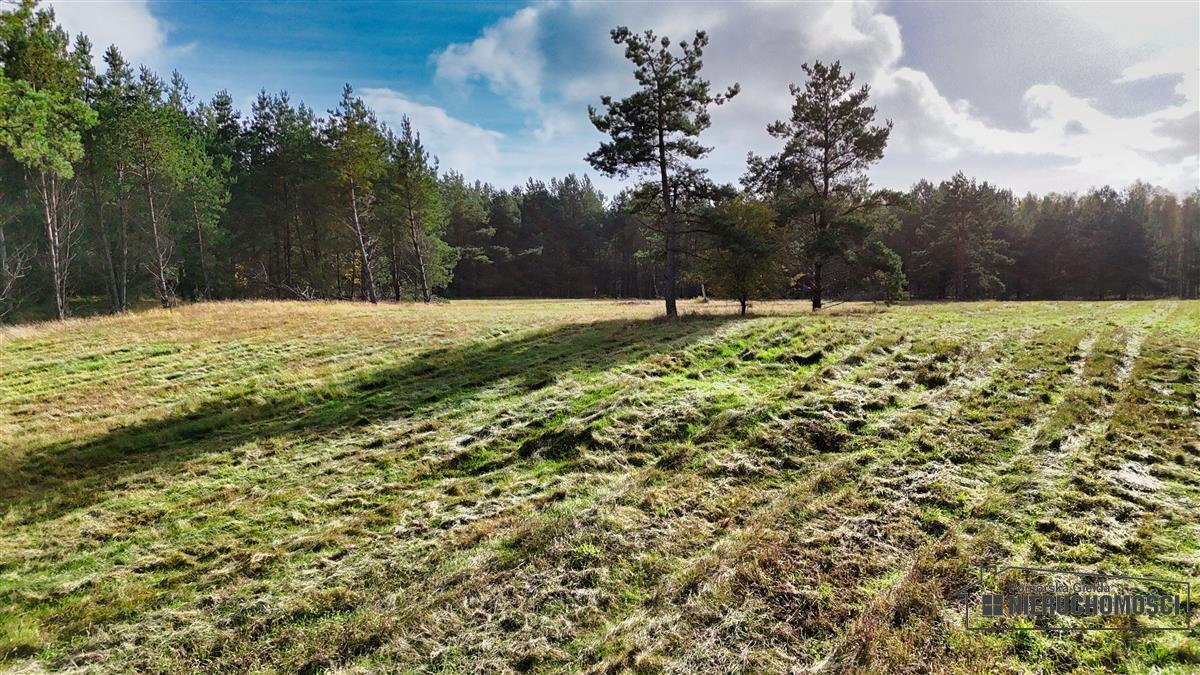 Sprzedaż Działka budowlana Świerczyna