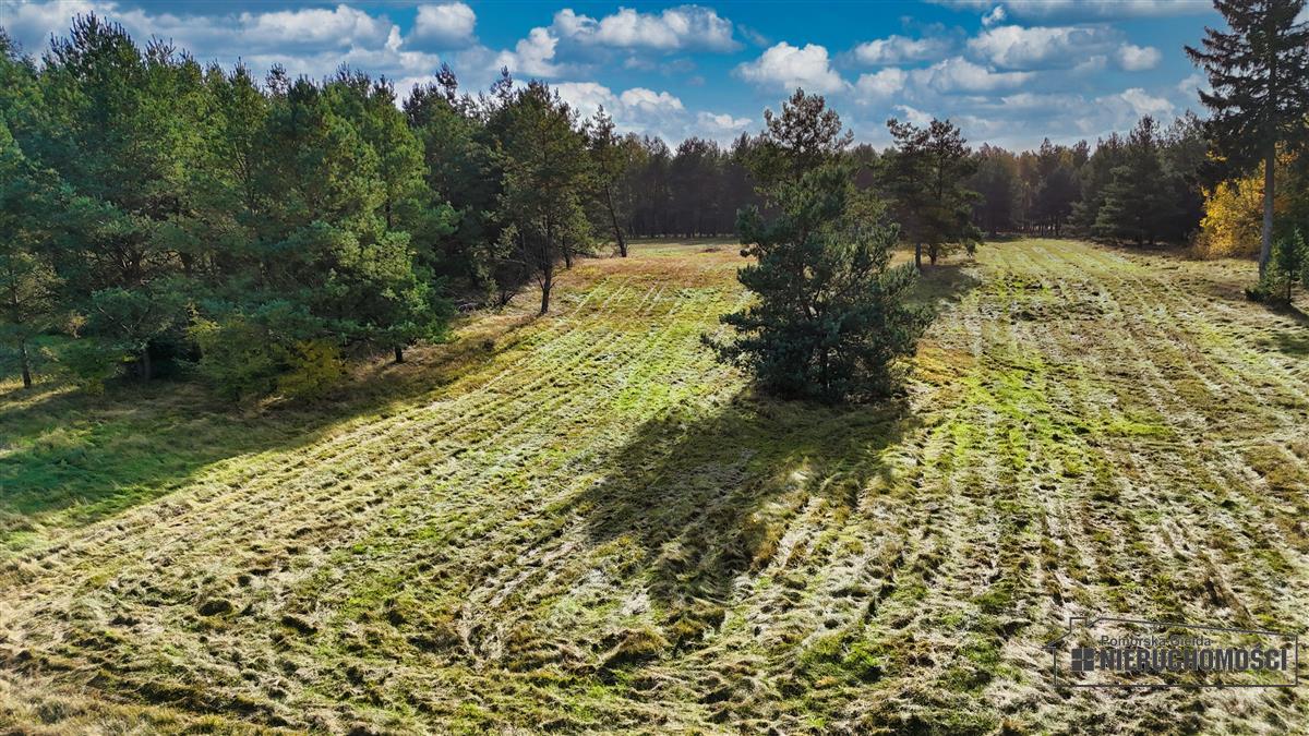 Sprzedaż Działka budowlana Świerczyna