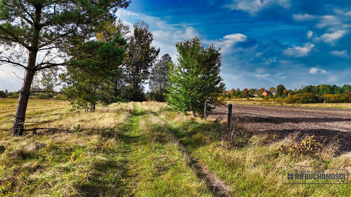Sprzedaż Działka budowlana Świerczyna