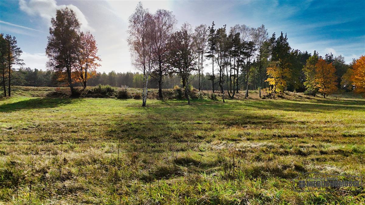 Sprzedaż Działka budowlana Świerczyna