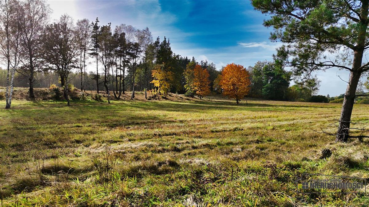 Sprzedaż Działka budowlana Świerczyna