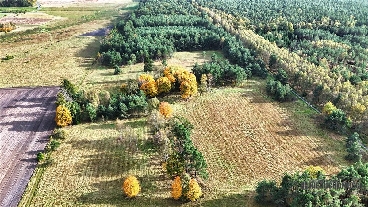 Sprzedaż Działka budowlana Świerczyna