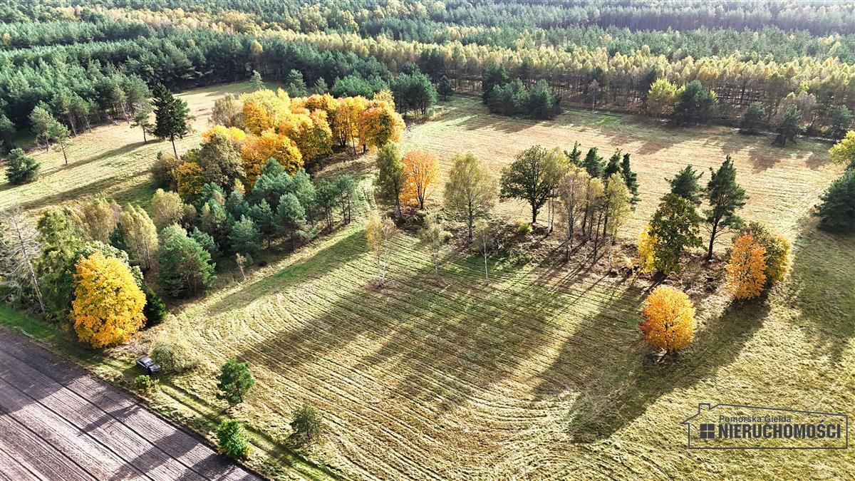 Sprzedaż Działka budowlana Świerczyna