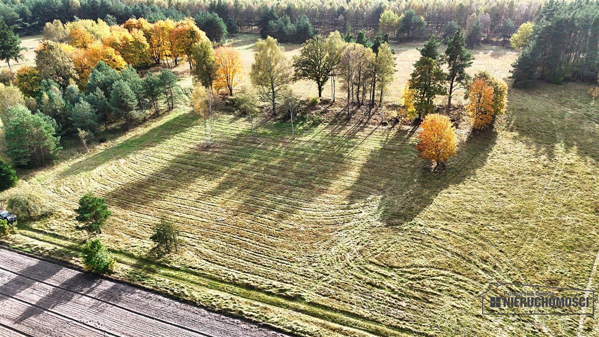 Sprzedaż Działka budowlana Świerczyna