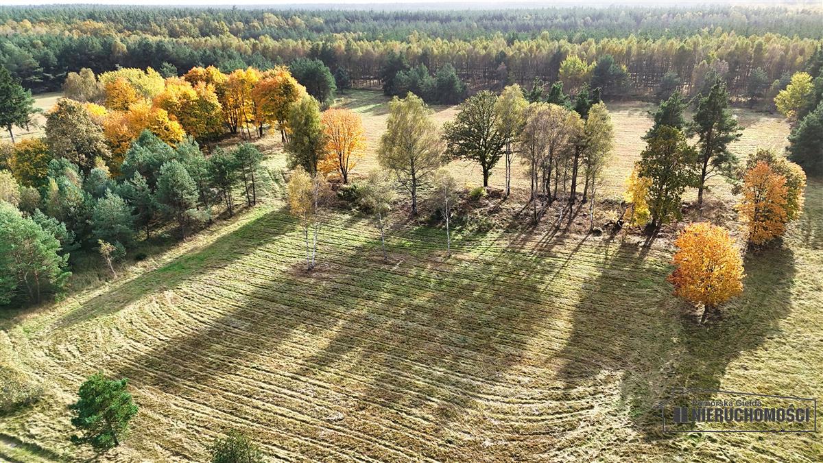 Sprzedaż Działka budowlana Świerczyna