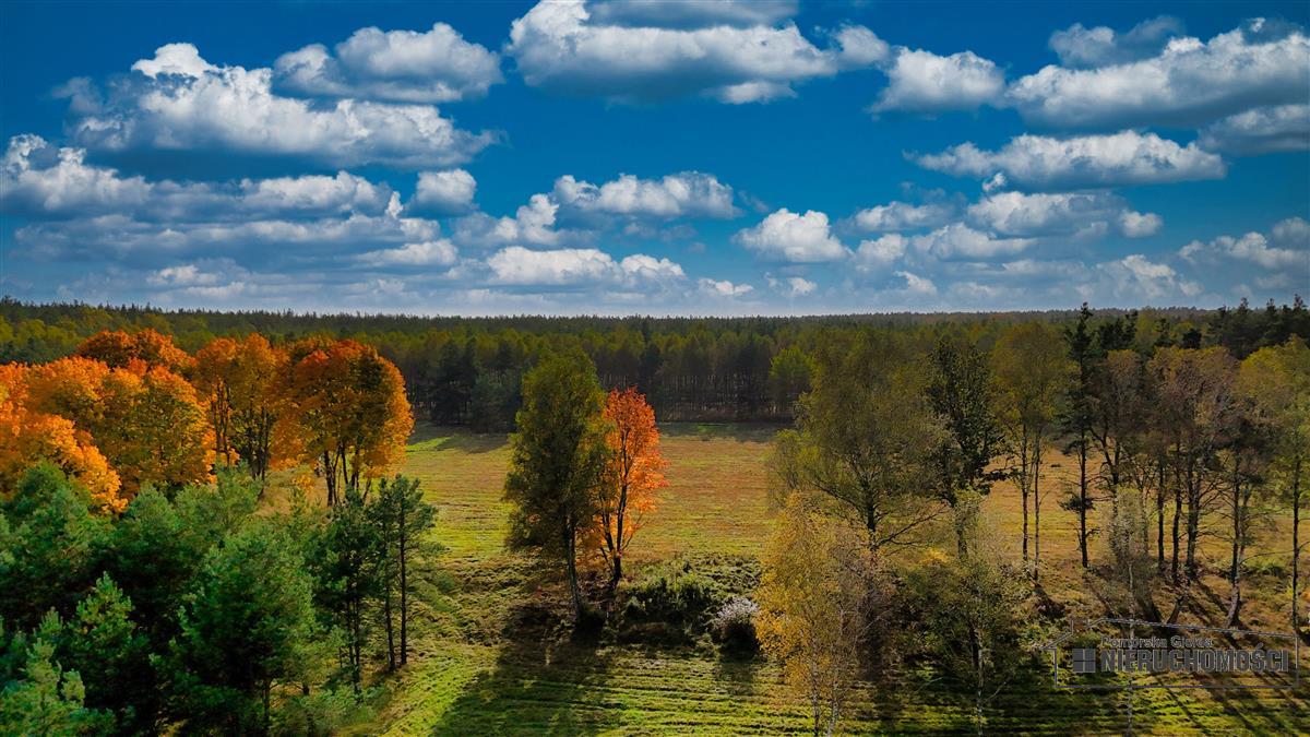 Sprzedaż Działka budowlana Świerczyna