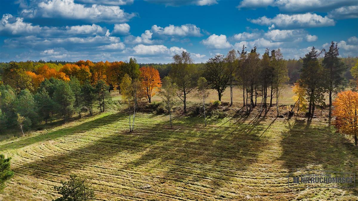 Sprzedaż Działka budowlana Świerczyna
