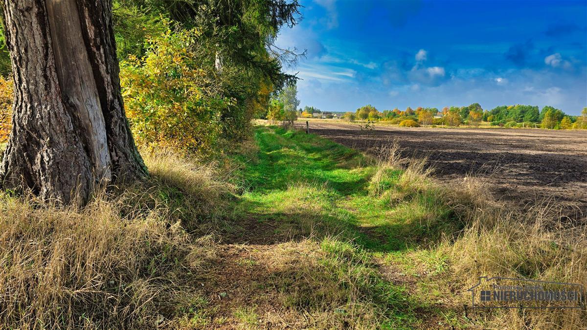 Sprzedaż Działka budowlana Świerczyna