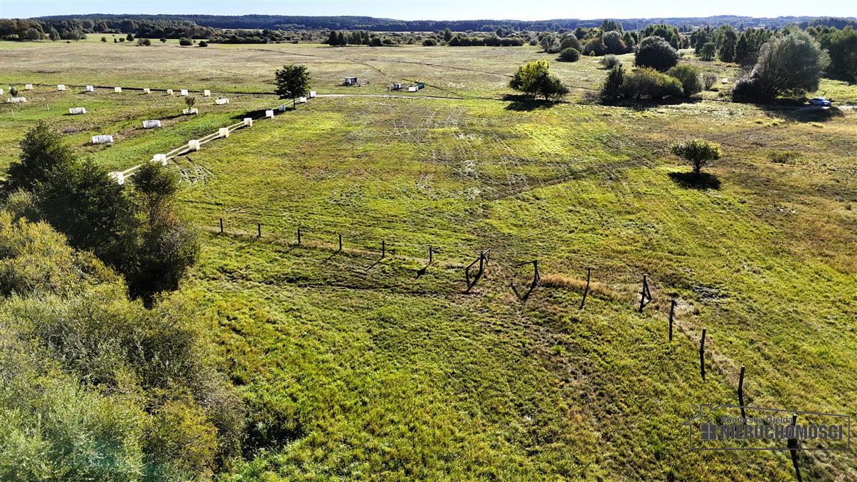 Sprzedaż Działka rolna Marcelin