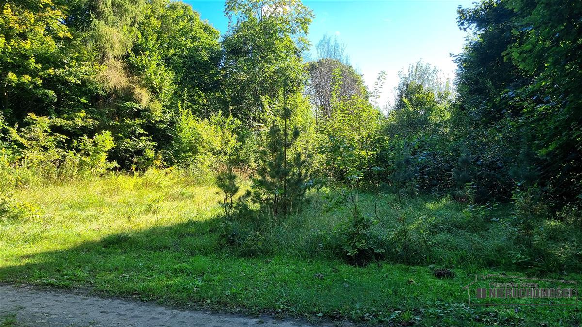 Sprzedaż Działka budowlana Sulikowo