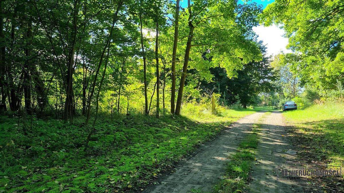 Sprzedaż Działka budowlana Sulikowo