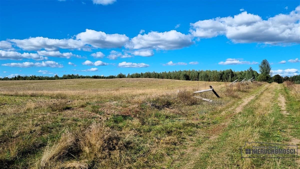 Sprzedaż Działka Dalęcinko
