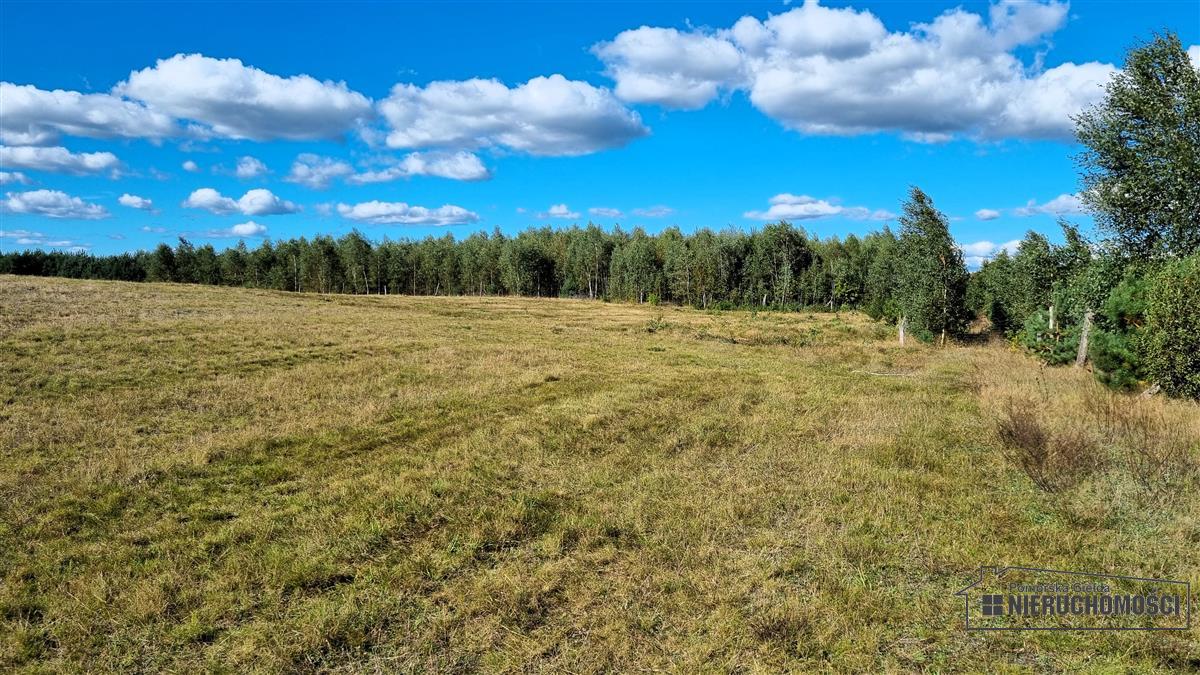 Sprzedaż Działka Dalęcinko