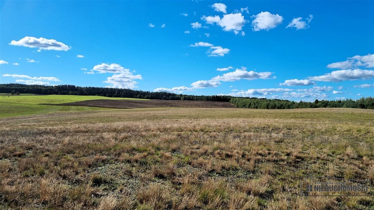 Sprzedaż Działka Dalęcinko