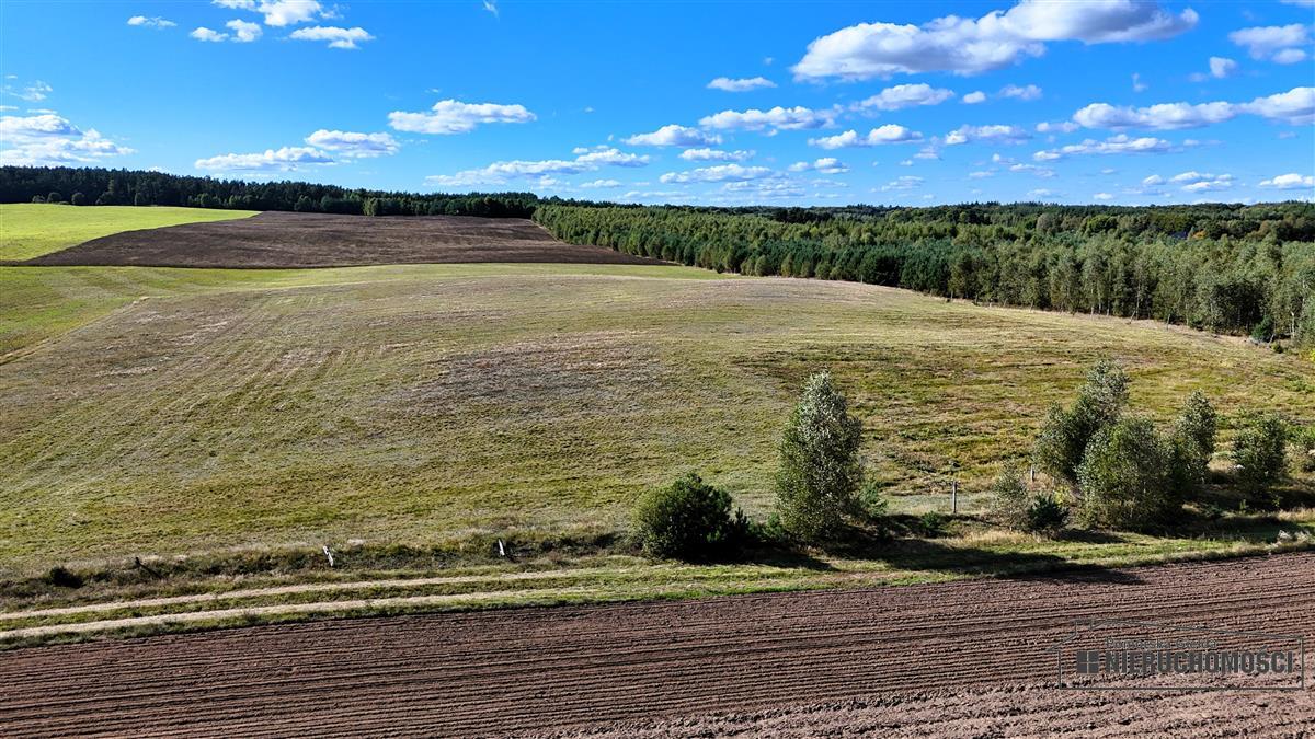 Sprzedaż Działka Dalęcinko