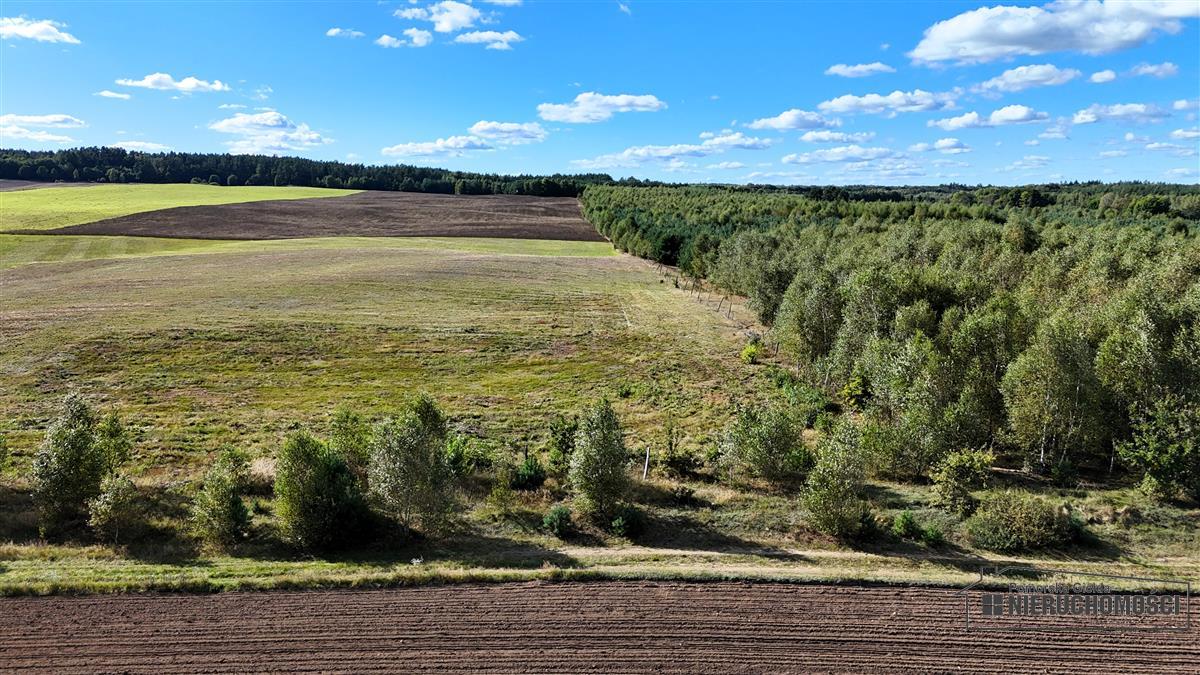 Sprzedaż Działka Dalęcinko