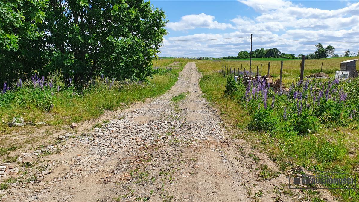 Sprzedaż Działka budowlana Sikory